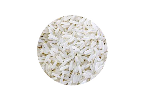 Gujarat 17 Rice
