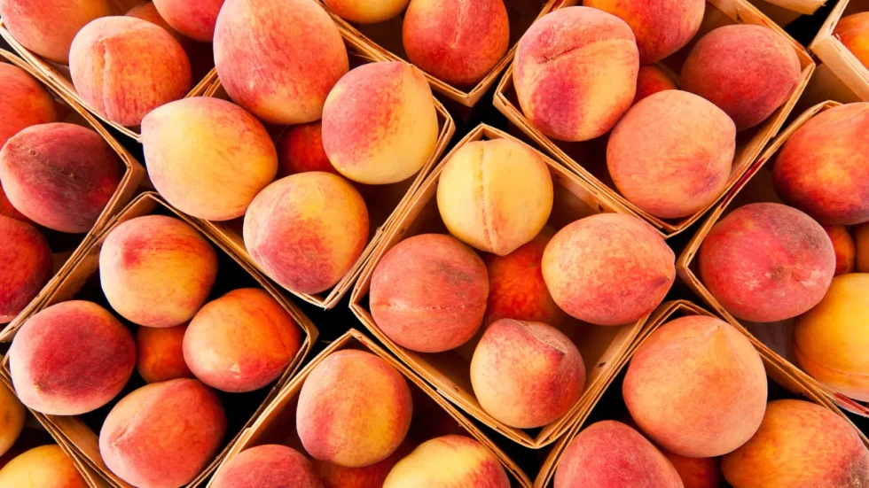 Fresh Peaches