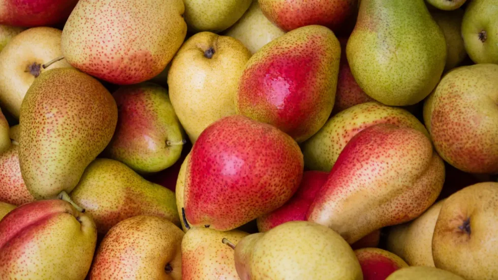 Fresh Pears