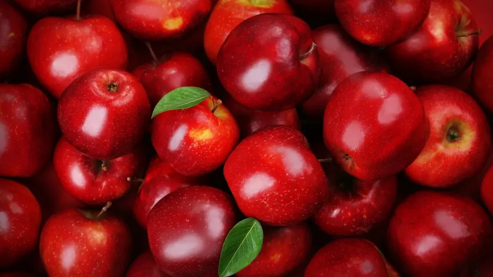 Fresh Apple