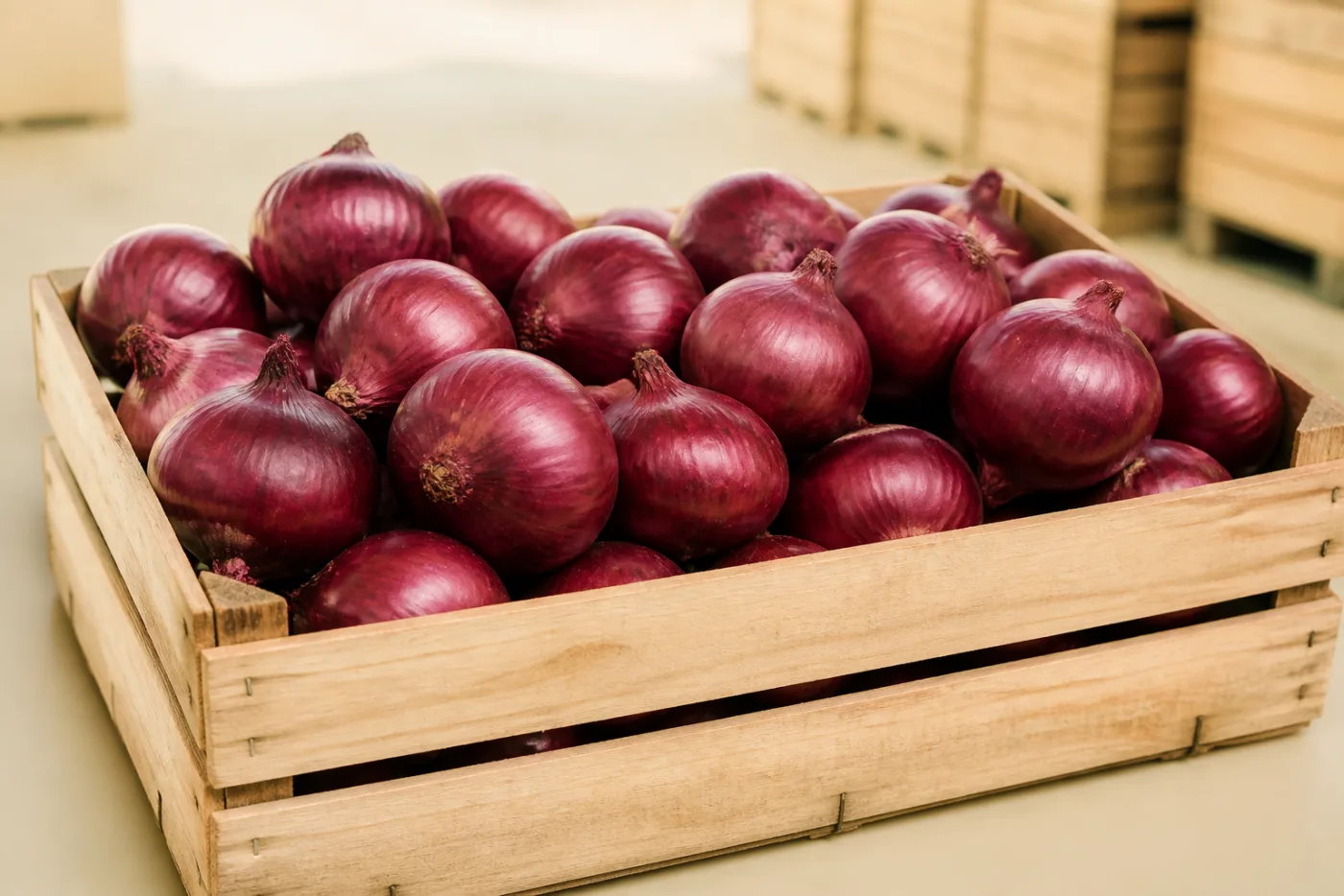 Red jumbo onions in bulk wholesale crates